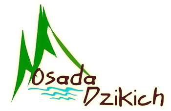 Osada dzikich – Domki do wynajęcia nad Soliną